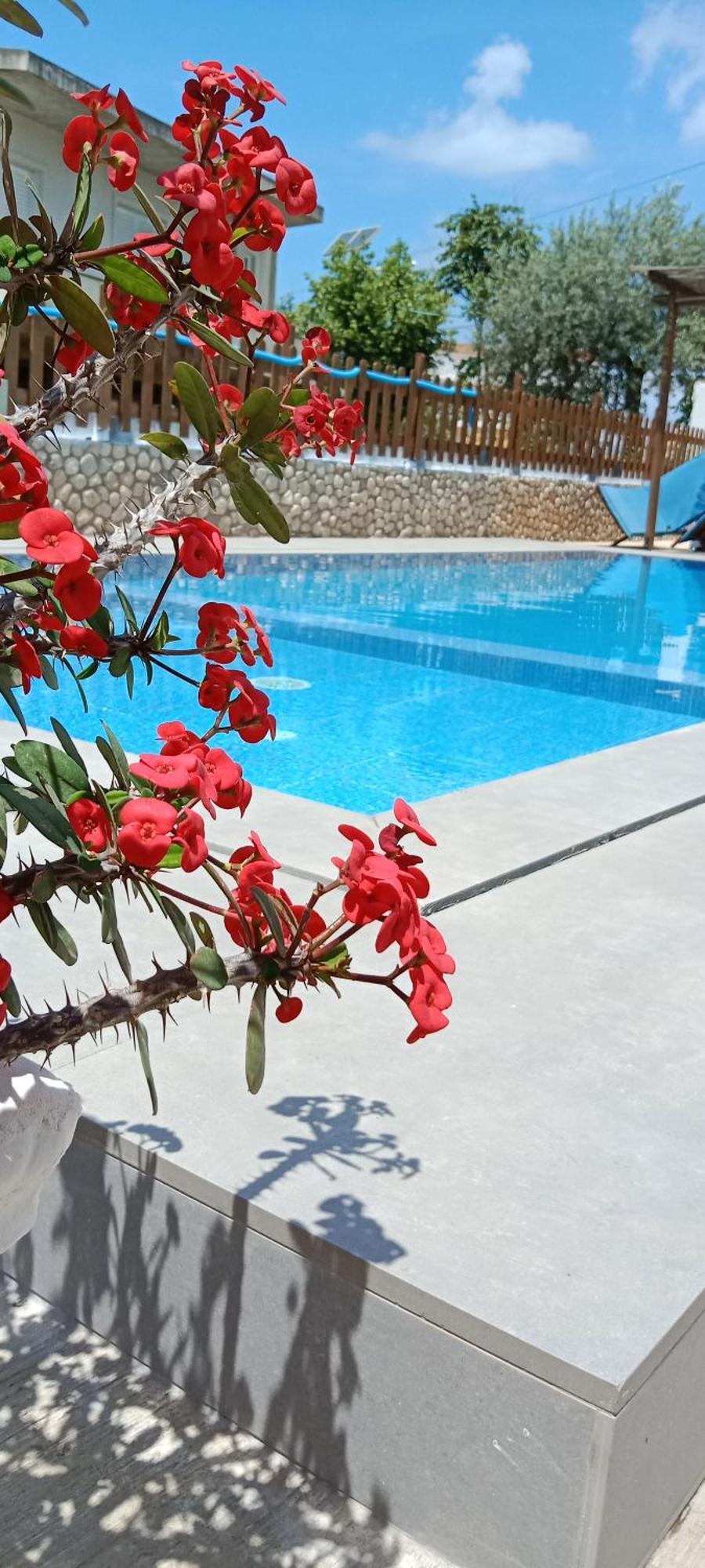 Hotel Villa Ruci Ksamil Rom bilde